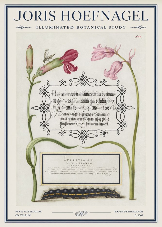 Joris Hoefnagel Floral Study with Insect and Caterpillar No5 - Plakát