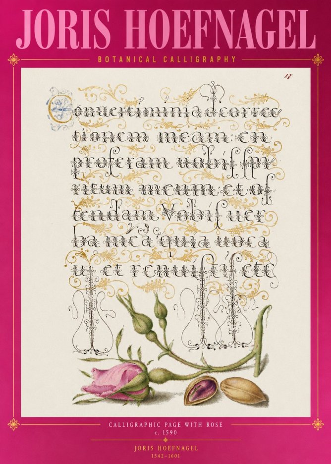 Joris Hoefnagel Calligraphic Page with Rose No2 - Plakát