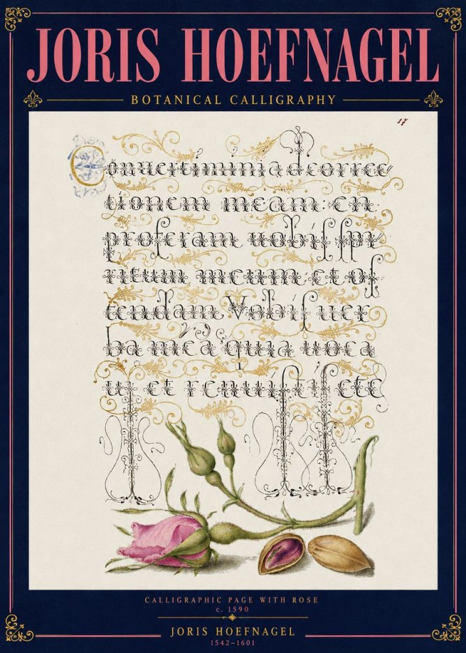 Joris Hoefnagel Calligraphic Page with Rose No4 - Plakát