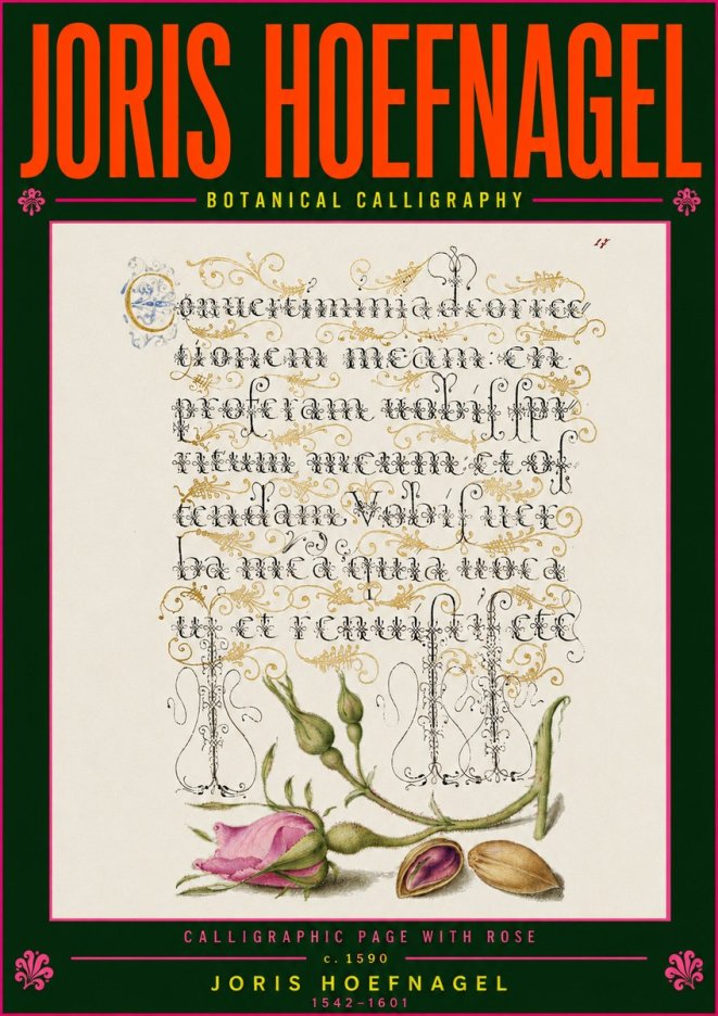 Joris Hoefnagel Calligraphic Page with Rose No5 - Plakát