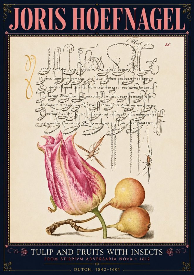 Joris Hoefnagel Tulip and Fruits with Insects No4 - Plakát