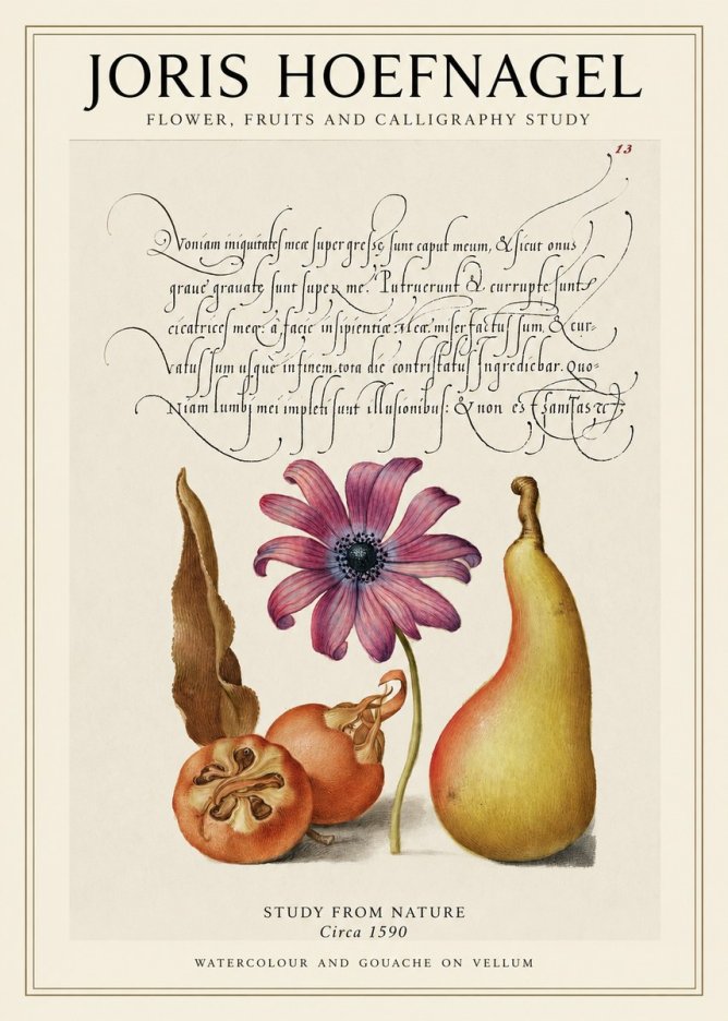 Joris Hoefnagel Study of Flower and Fruits No2 - Plakát