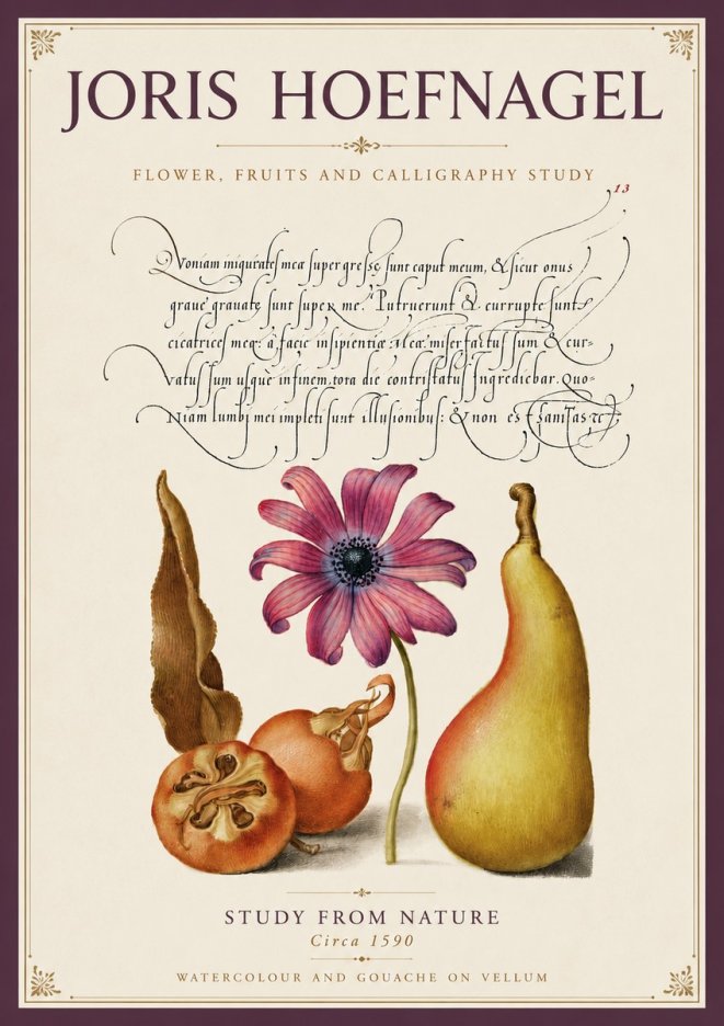 Joris Hoefnagel Study of Flower and Fruits No6 - Plakát
