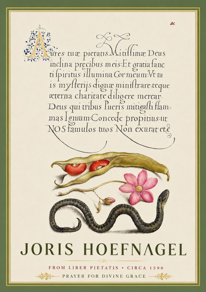 Joris Hoefnagel Prayer for Divine Grace No5 - Plakát