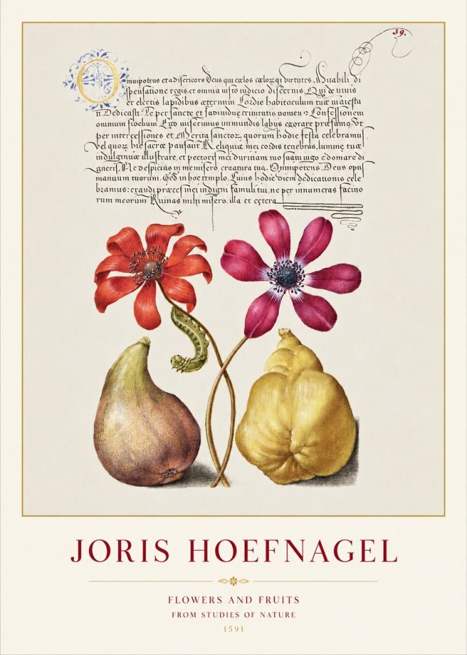 Joris Hoefnagel Flowers and Fruits No1 - Plakát