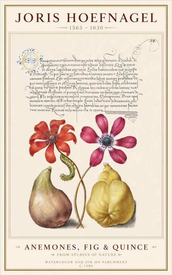Joris Hoefnagel Flowers and Fruits No2 - Plakát