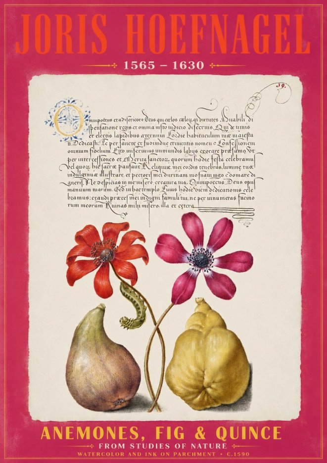 Joris Hoefnagel Flowers and Fruits No3 - Plakát