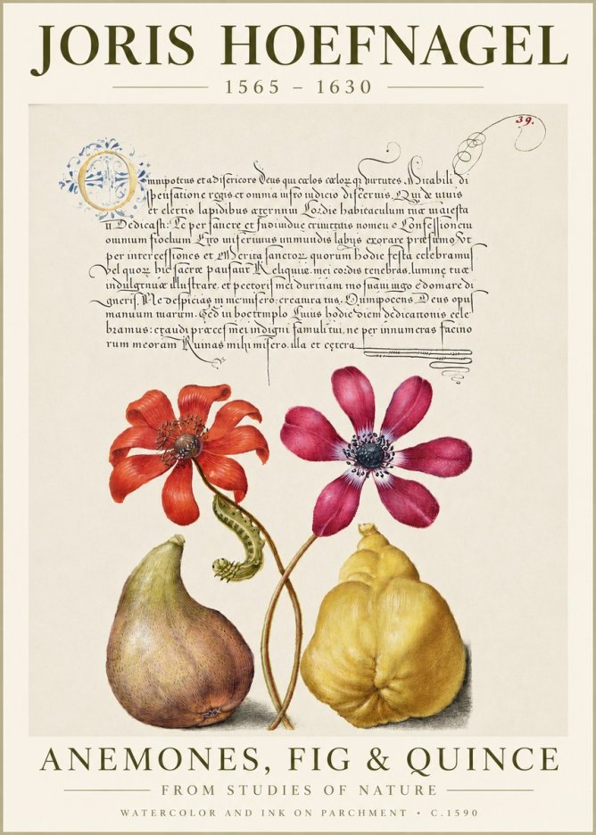 Joris Hoefnagel Flowers and Fruits No6 - Plakát