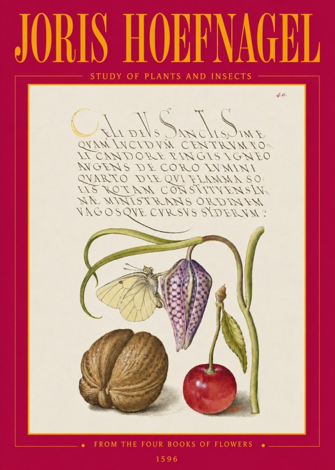 Joris Hoefnagel Study of Plants and Insects No3 - Plakát