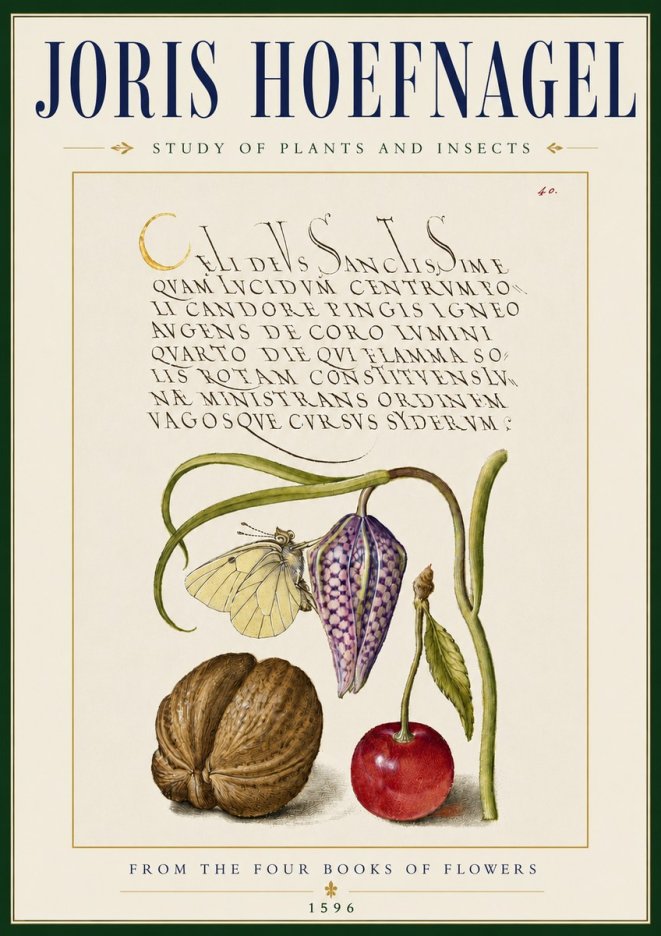 Joris Hoefnagel Study of Plants and Insects No5 - Plakát