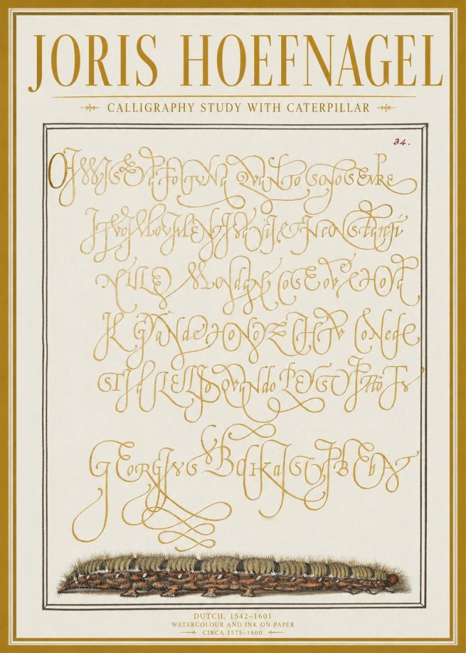 Joris Hoefnagel Calligraphy Study with Caterpillar No1 - Plakát