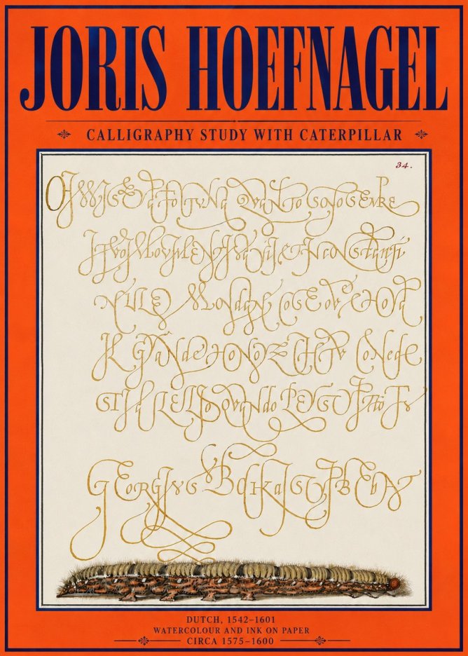Joris Hoefnagel Calligraphy Study with Caterpillar No4 - Plakát
