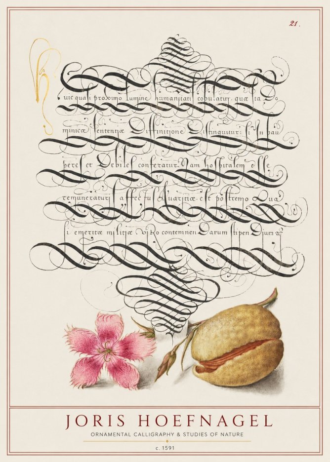 Joris Hoefnagel Ornamental Calligraphy & Studies of Nature No1 - Plakát