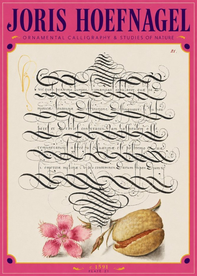 Joris Hoefnagel Ornamental Calligraphy & Studies of Nature No3 - Plakát