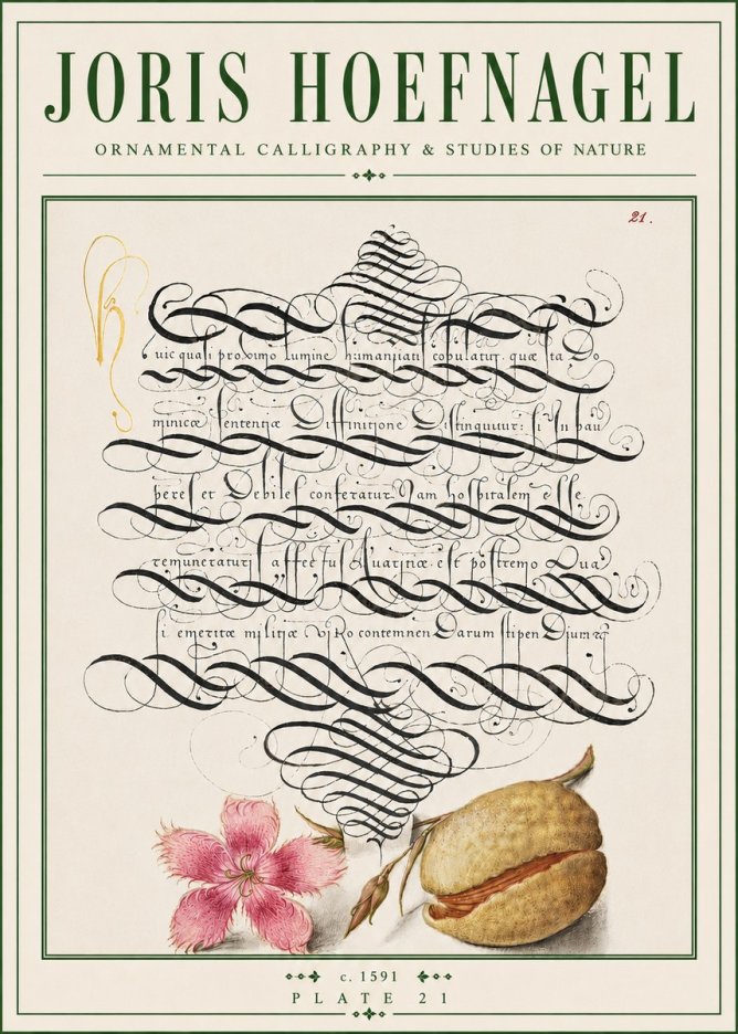 Joris Hoefnagel Ornamental Calligraphy & Studies of Nature No4 - Plakát
