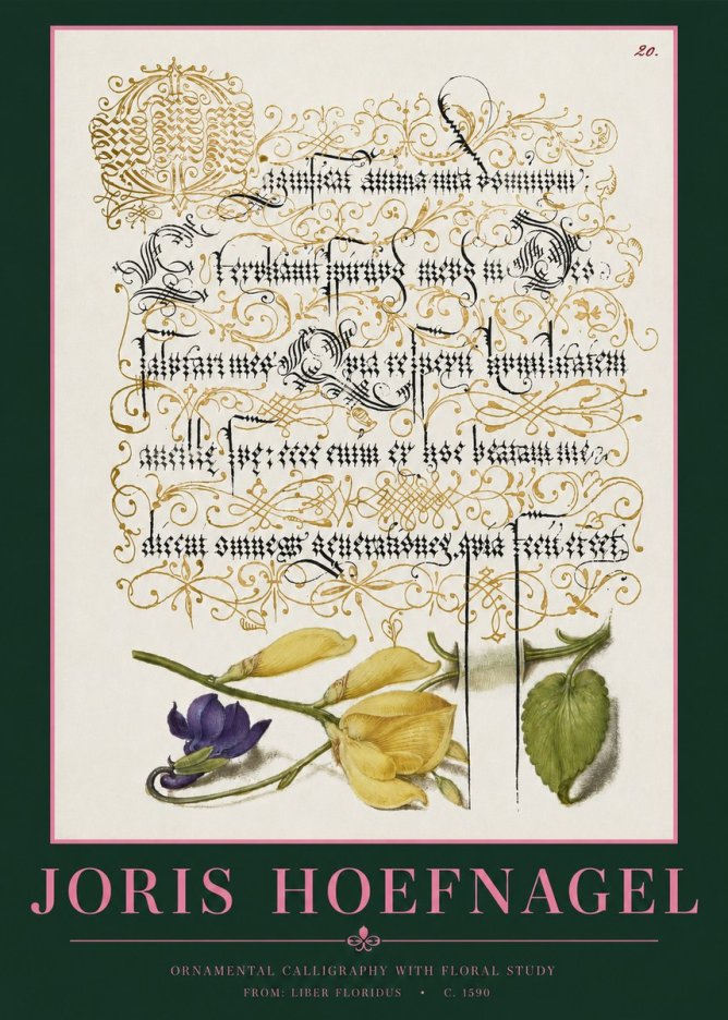 Joris Hoefnagel Ornamental Calligraphy with Floral Study No2 - Plakát