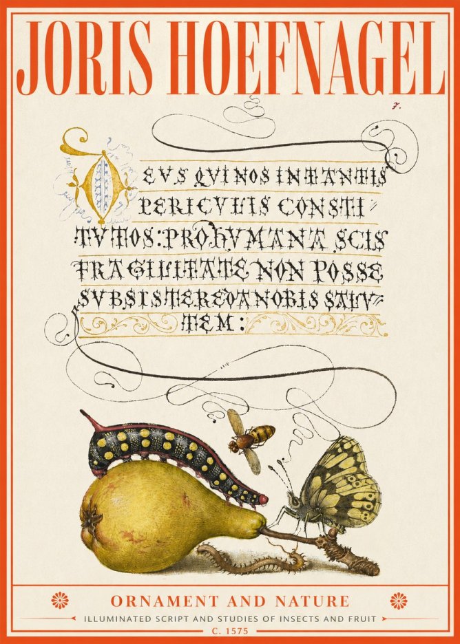 Joris Hoefnagel Ornament and Nature - Illuminated Script and Studies of Insects and Fruit No2 - Plakát
