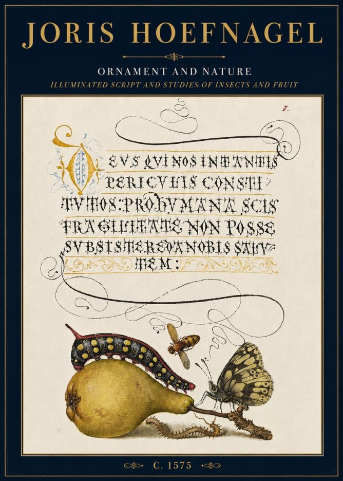 Joris Hoefnagel Ornament and Nature - Illuminated Script and Studies of Insects and Fruit No3 - Plakát