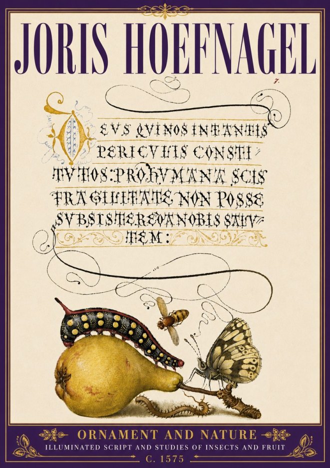 Joris Hoefnagel Ornament and Nature - Illuminated Script and Studies of Insects and Fruit No6 - Plakát