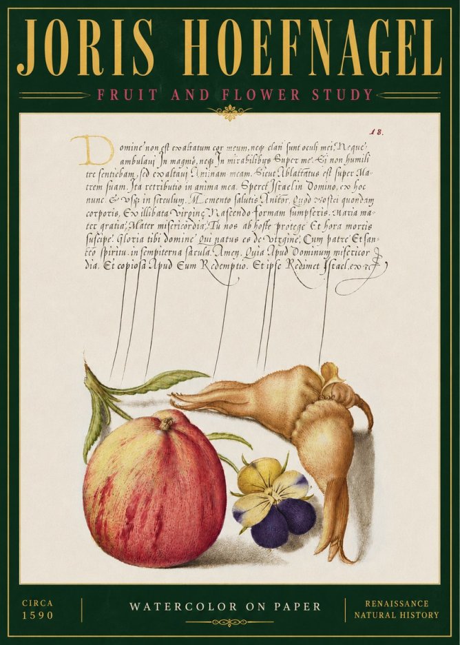 Joris Hoefnagel Fruit and Flower Study No4 - Plakát