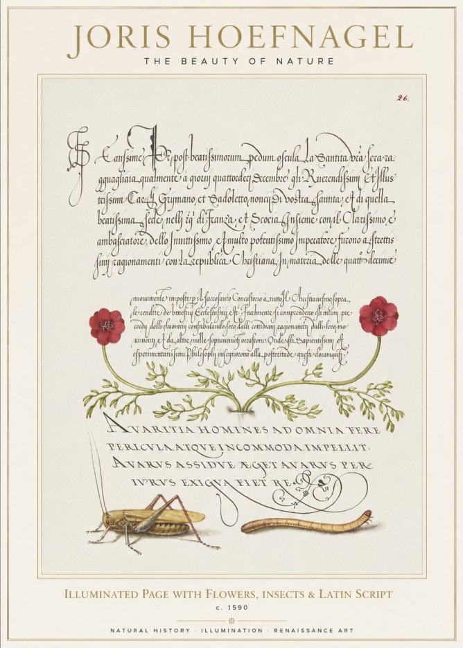 Joris Hoefnagel Illuminated Page with Flowers, Insects & Latin Script No1 - Plakát