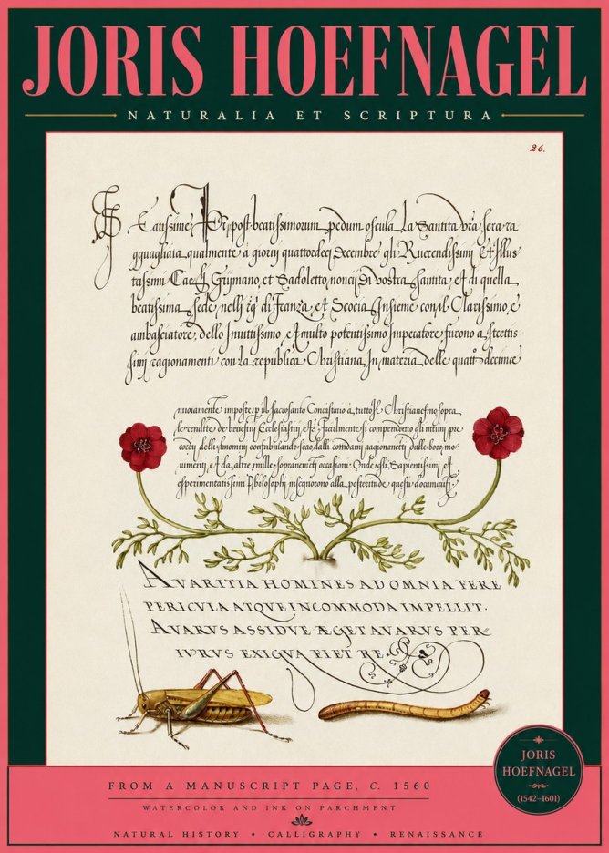 Joris Hoefnagel Illuminated Page with Flowers, Insects & Latin Script No3 - Plakát