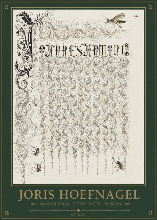 Joris Hoefnagel Ornamental Study with Insects No1 - Plakát