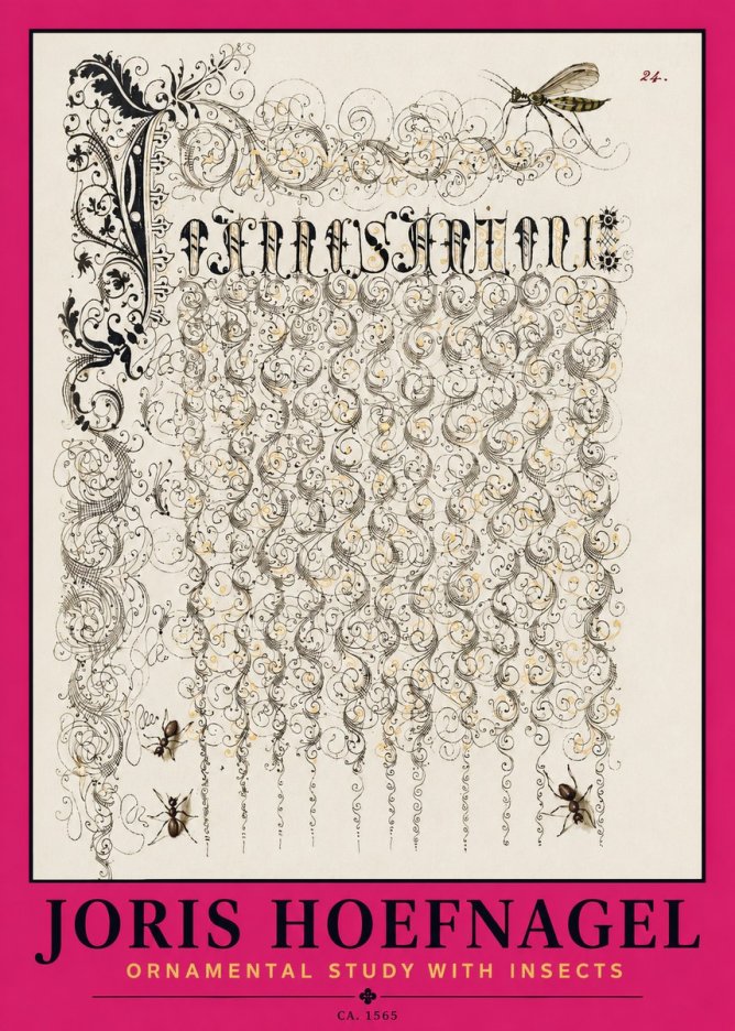 Joris Hoefnagel Ornamental Study with Insects No2 - Plakát