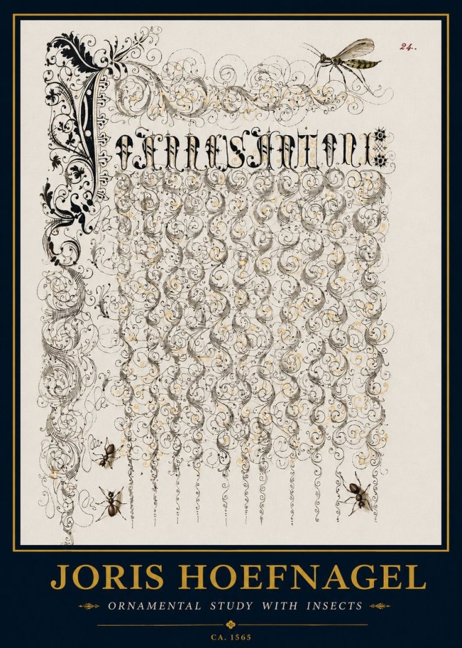 Joris Hoefnagel Ornamental Study with Insects No3 - Plakát