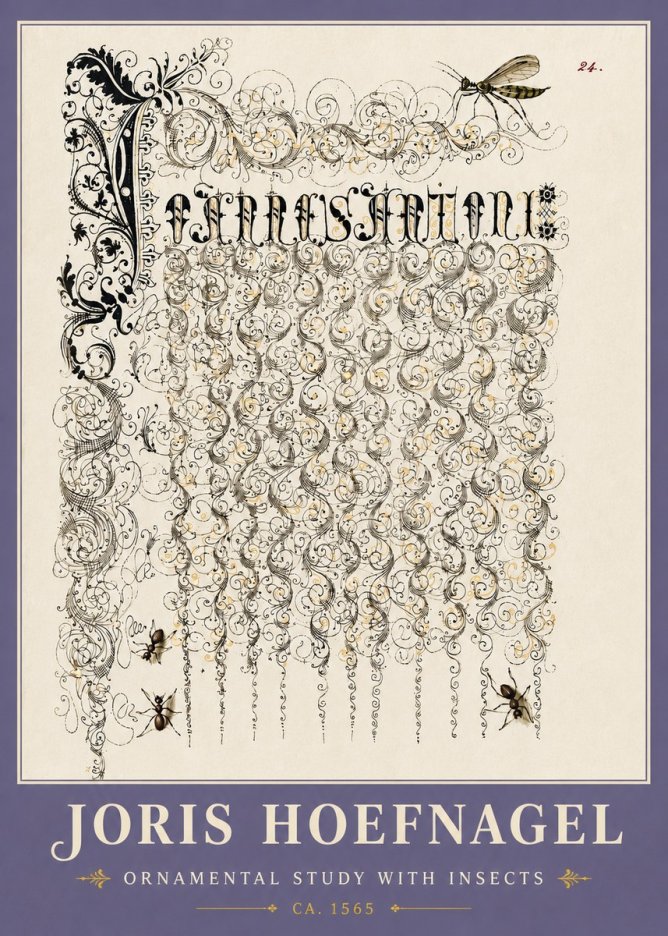 Joris Hoefnagel Ornamental Study with Insects No6 - Plakát