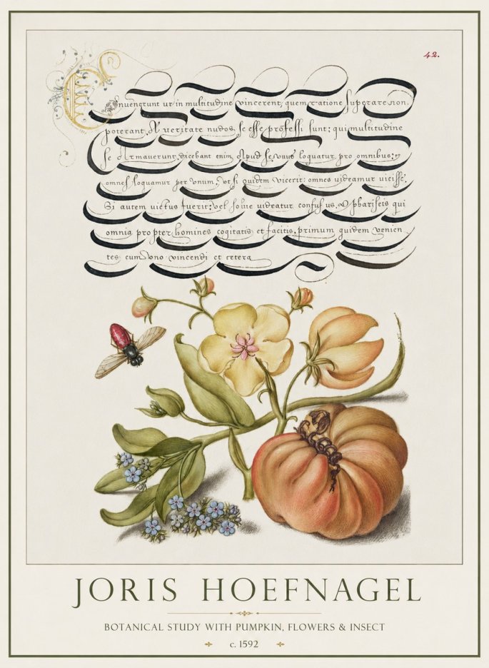 Joris Hoefnagel Botanical Study with Pumpkin, Flowers & Insect No1 - Plakát