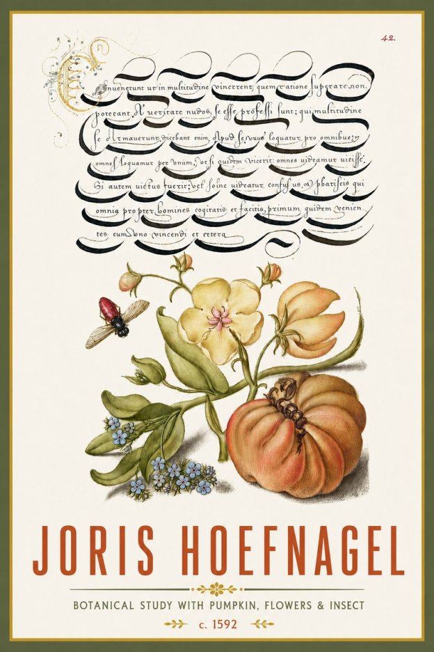 Joris Hoefnagel Botanical Study with Pumpkin, Flowers & Insect No4 - Plakát
