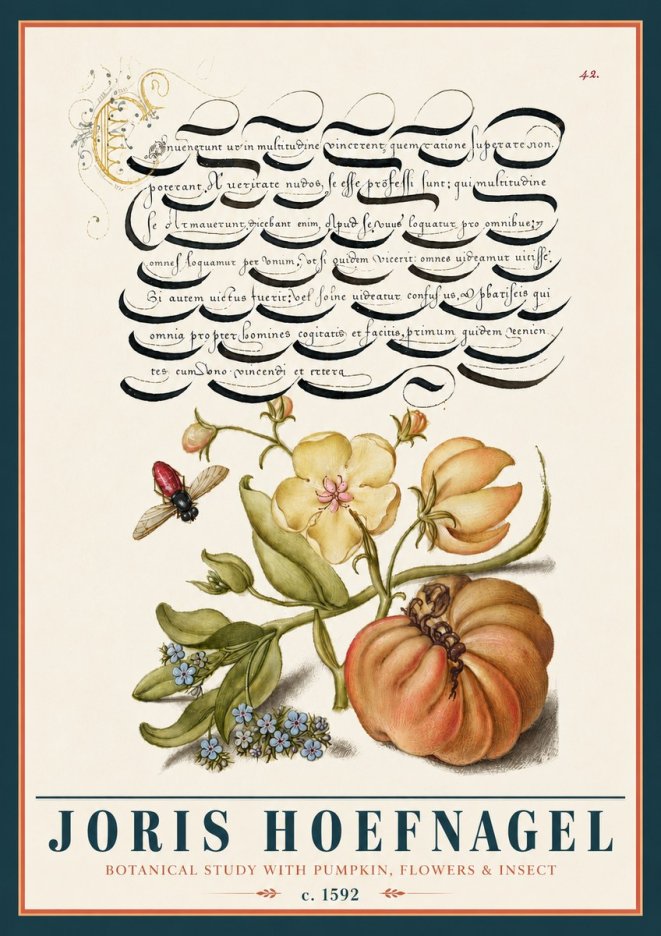 Joris Hoefnagel Botanical Study with Pumpkin, Flowers & Insect No5 - Plakát