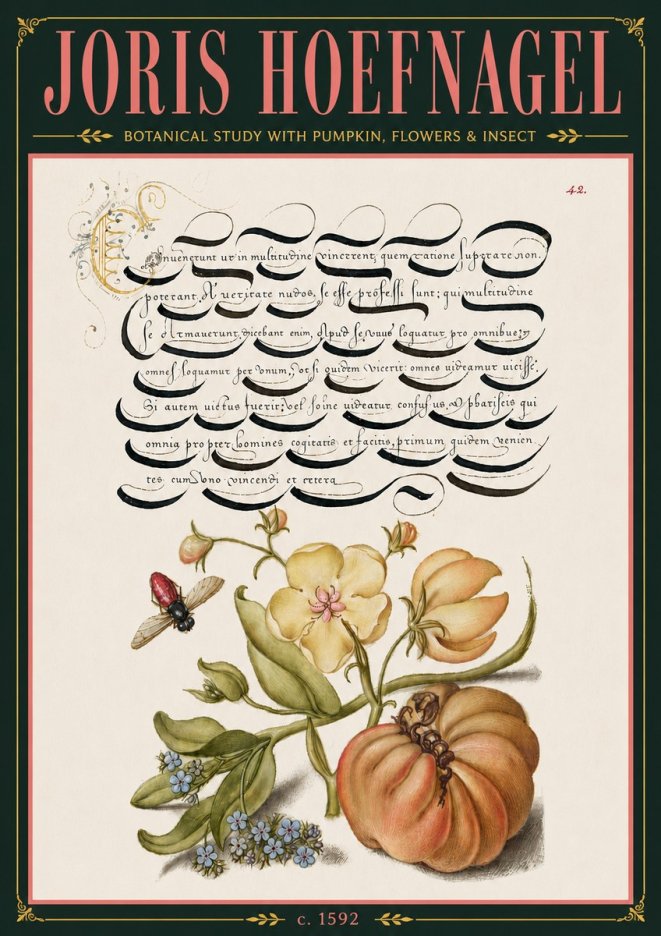 Joris Hoefnagel Botanical Study with Pumpkin, Flowers & Insect No6 - Plakát