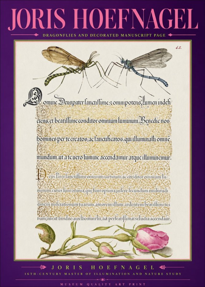 Joris Hoefnagel Dragonflies and Decorated Manuscript Page No2 - Plakát