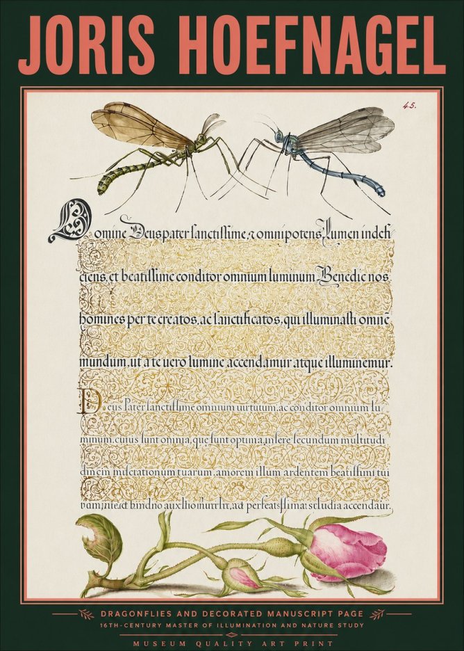 Joris Hoefnagel Dragonflies and Decorated Manuscript Page No3 - Plakát
