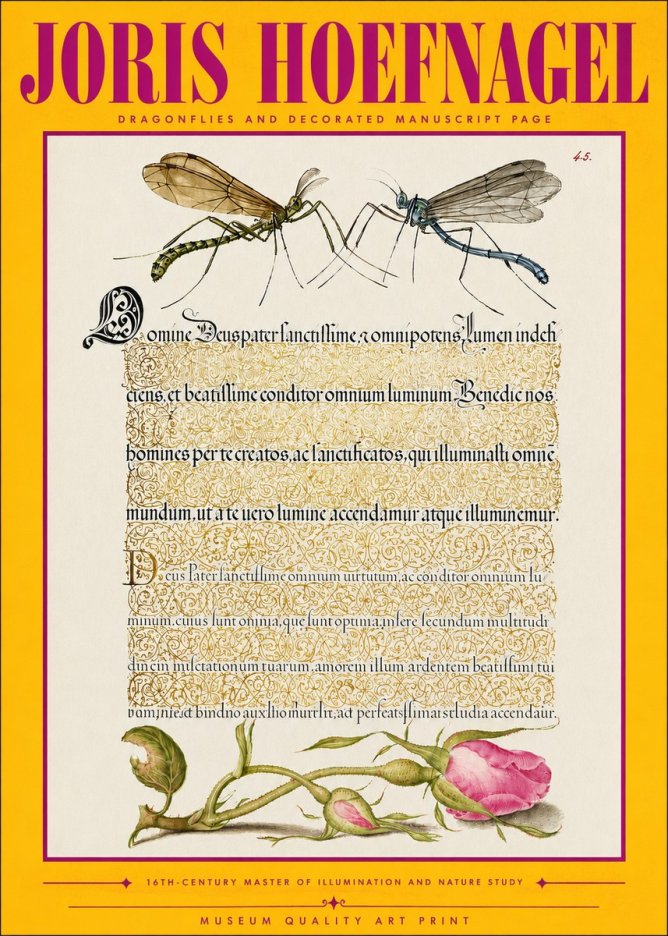 Joris Hoefnagel Dragonflies and Decorated Manuscript Page No4 - Plakát