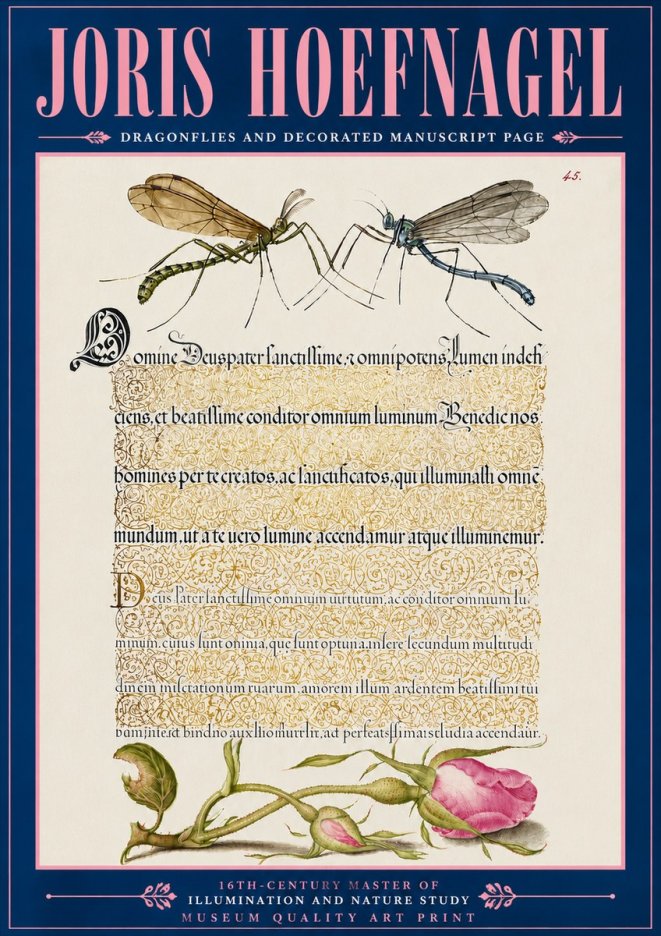 Joris Hoefnagel Dragonflies and Decorated Manuscript Page No6 - Plakát
