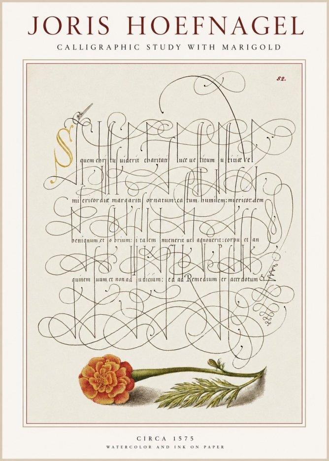 Joris Hoefnagel Calligraphic Study with Marigold No1 - Plakát