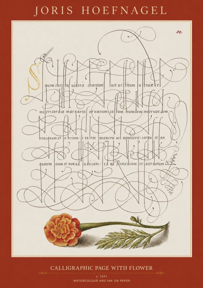 Joris Hoefnagel Calligraphic Study with Marigold No2 - Plakát