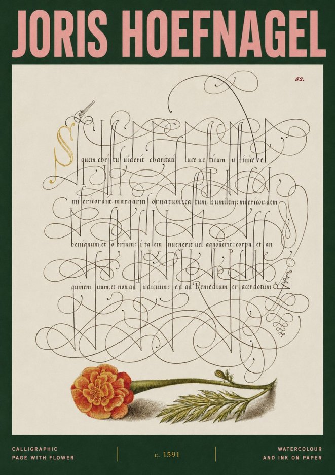 Joris Hoefnagel Calligraphic Study with Marigold No3 - Plakát