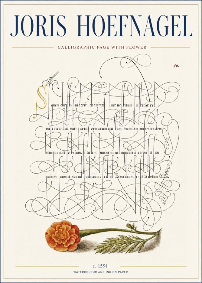 Joris Hoefnagel Calligraphic Study with Marigold No4 - Plakát