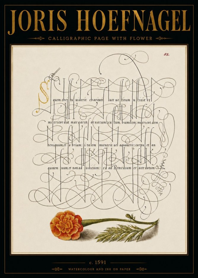 Joris Hoefnagel Calligraphic Study with Marigold No6 - Plakát