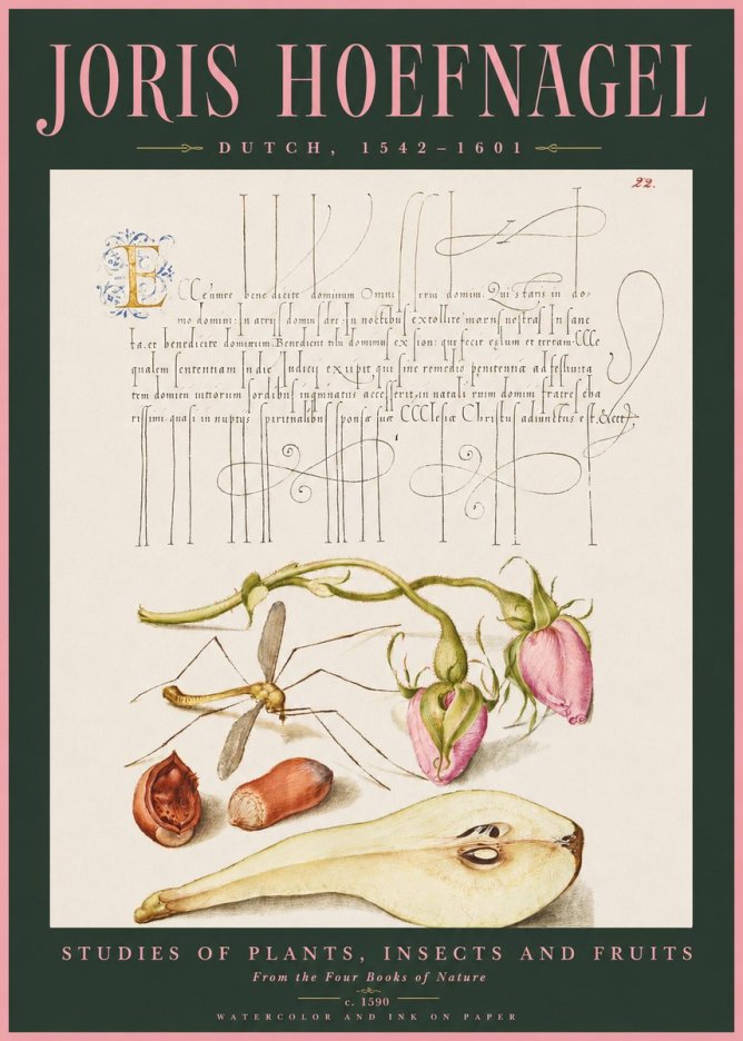 Joris Hoefnagel Studies of Plants, Insects and Fruits No2 - Plakát