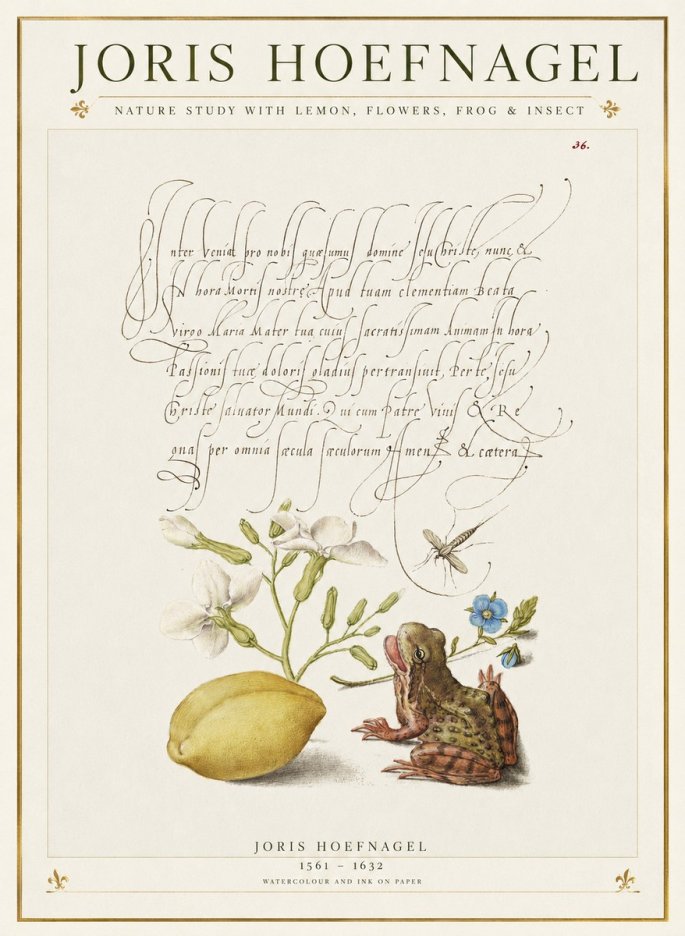 Joris Hoefnagel Nature Study with Lemon, Flowers, Frog & Insect No1 - Plakát