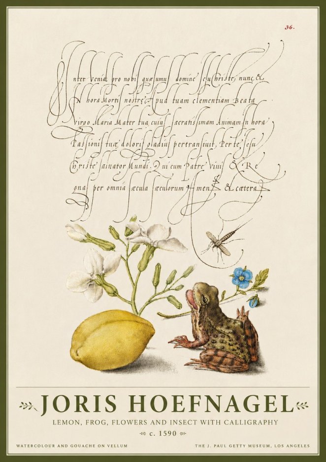 Joris Hoefnagel Nature Study with Lemon, Flowers, Frog & Insect No4 - Plakát