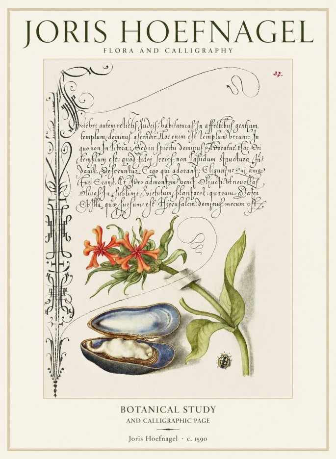 Joris Hoefnagel Botanical Study and Calligraphic Page No1 - Plakát