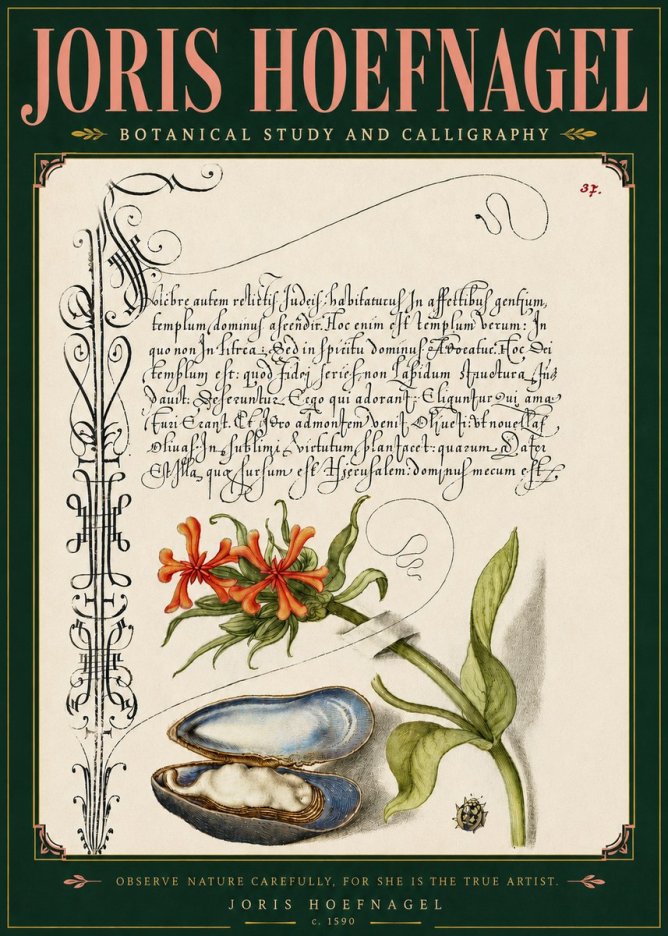 Joris Hoefnagel Botanical Study and Calligraphic Page No5 - Plakát