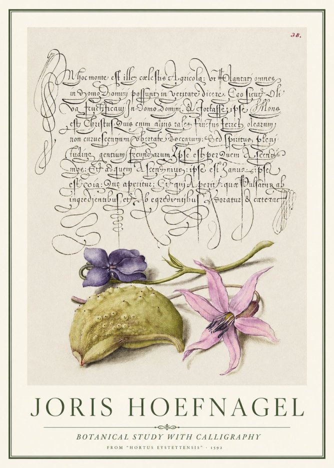 Joris Hoefnagel Botanical Study with Calligraphy I No1 - Plakát