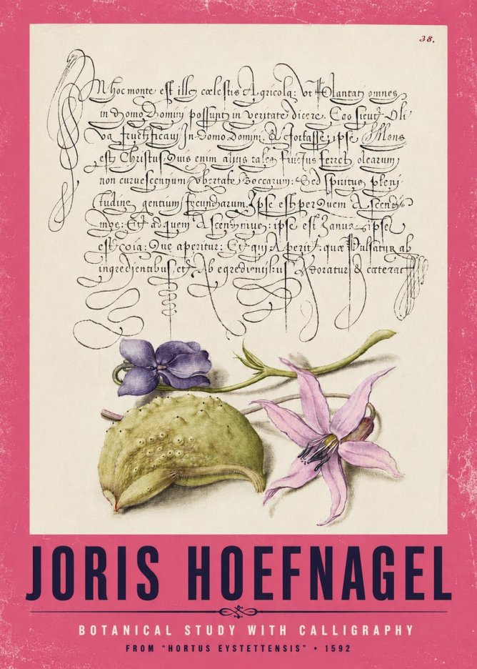 Joris Hoefnagel Botanical Study with Calligraphy I No2 - Plakát